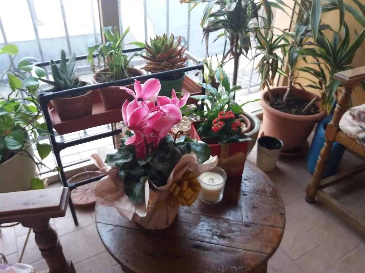 *** Bed & Breakfast 
